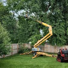  Hopkinsville, KY Tree Services Pros